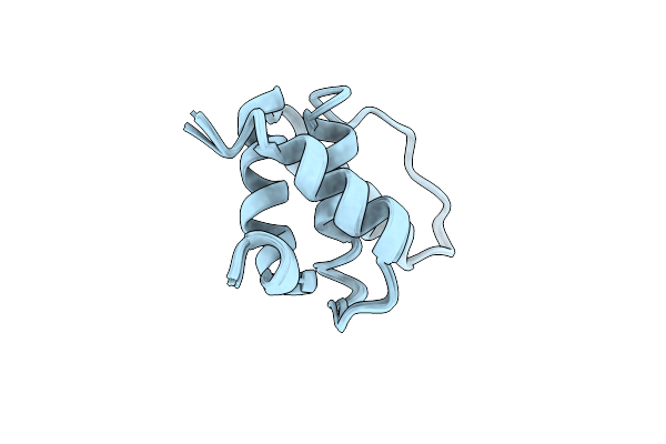 2LBB image