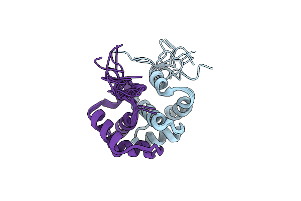 2LBF image