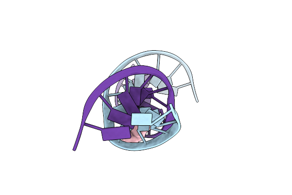 2LBI image
