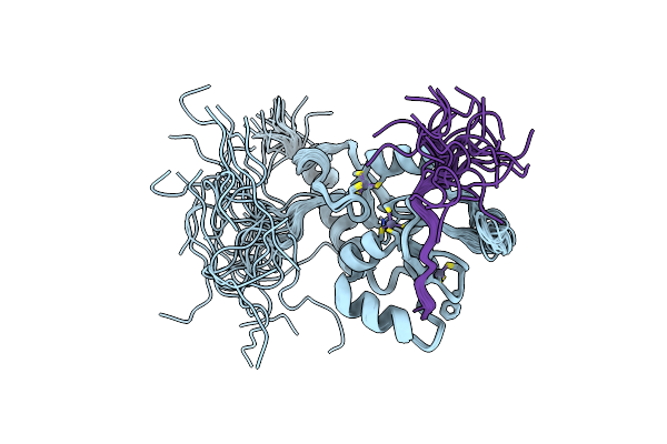 2LBM image