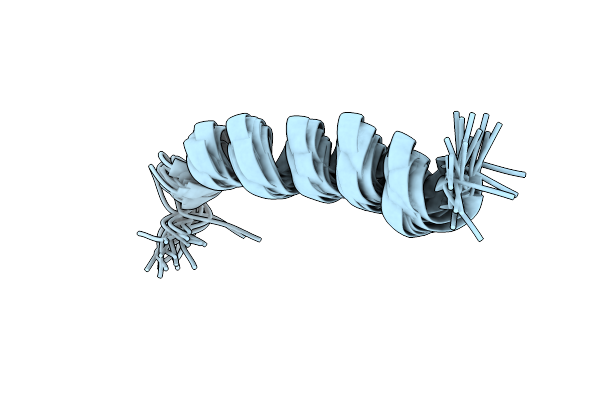2LCM image