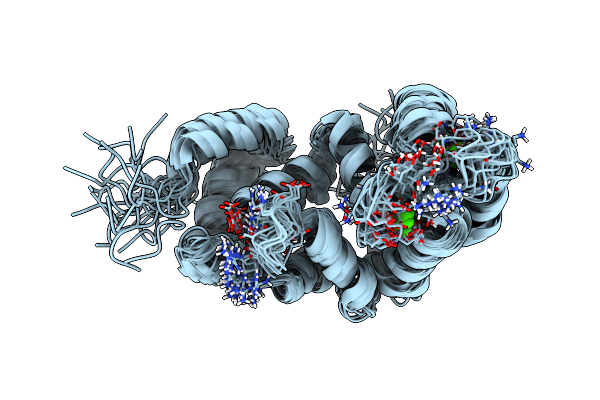 2LCP image