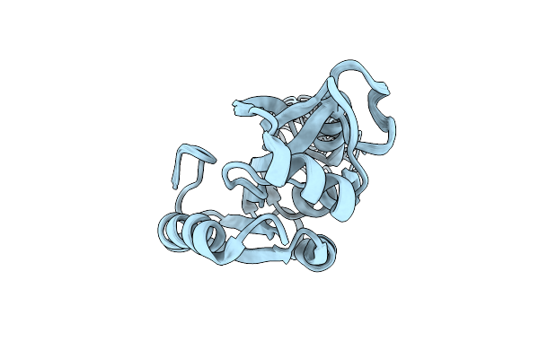 2LD4 image