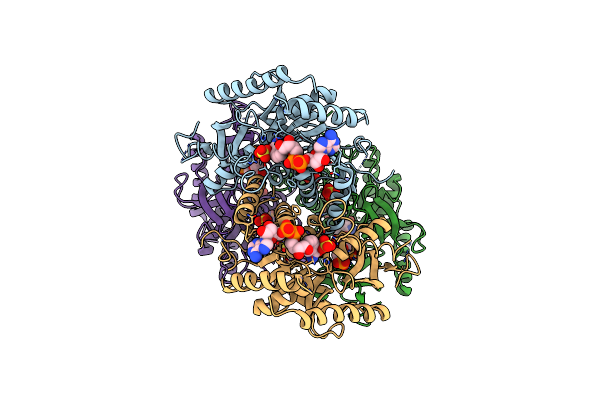 2LDB image
