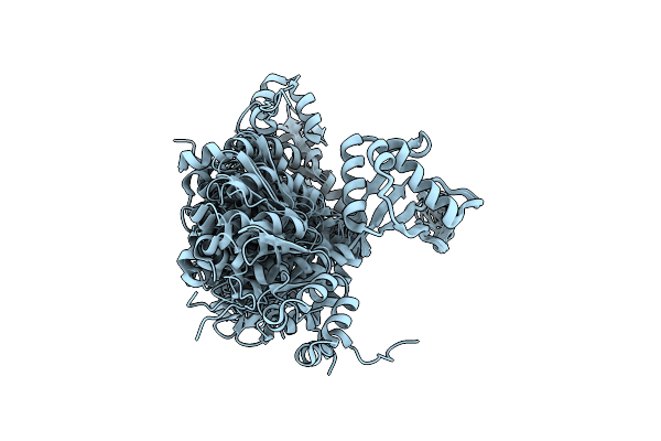2LDY image
