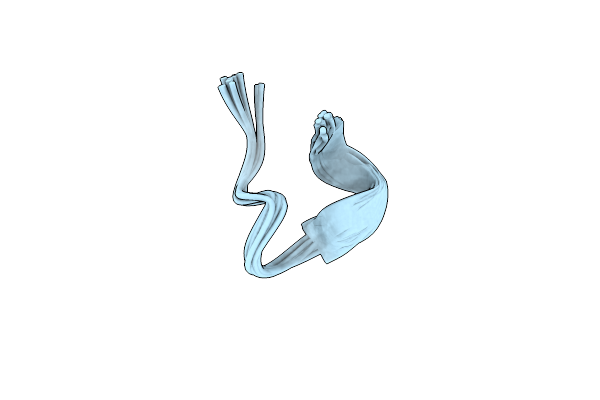 2LER image