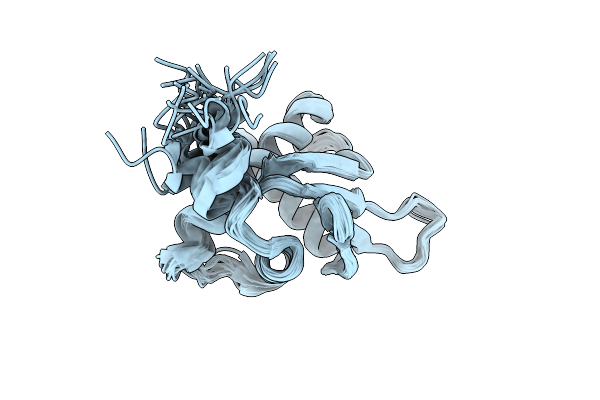 2LEZ image