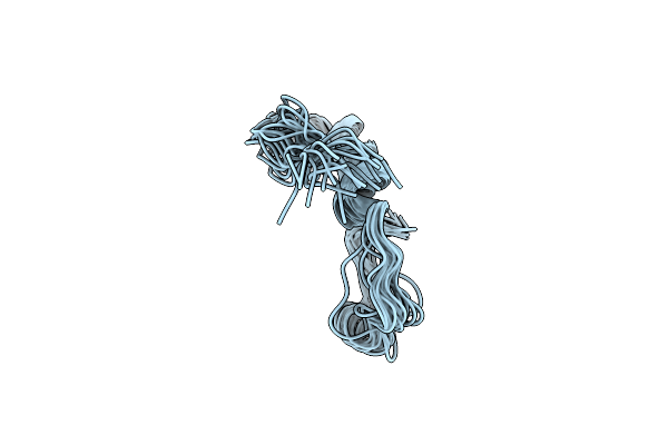 2LFM image