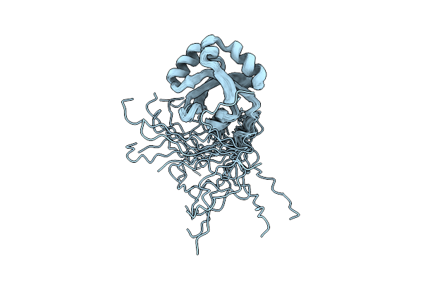 2LFV image