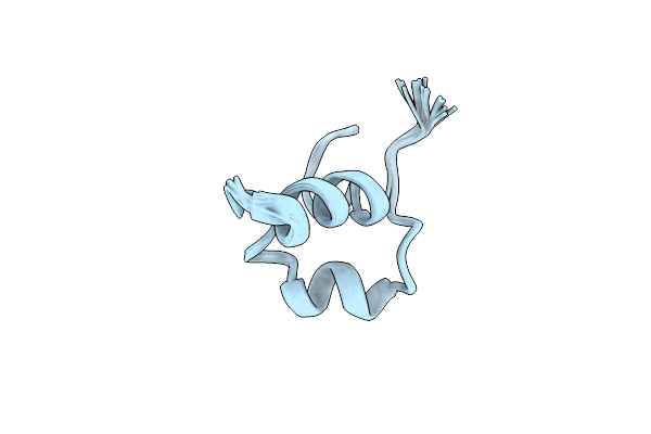 2LG4 image