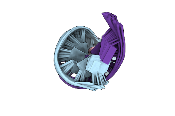 2LGM image