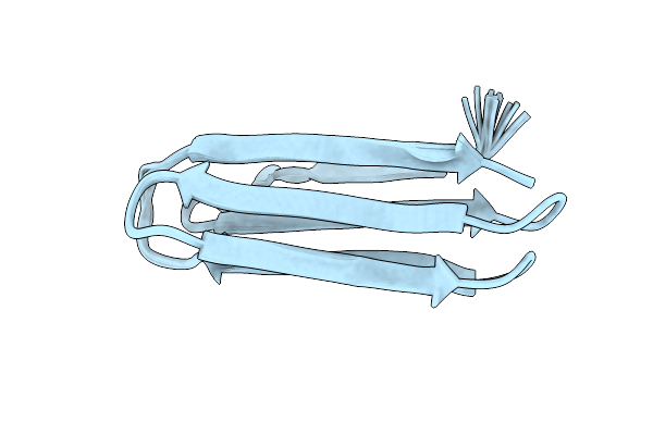 2LGN image