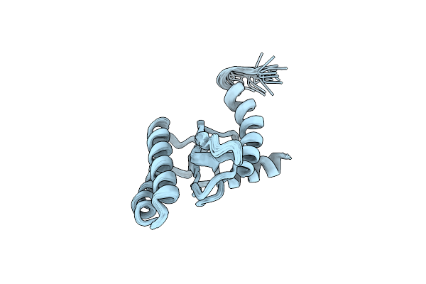 2LGT image