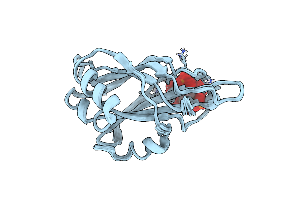 2LHA image