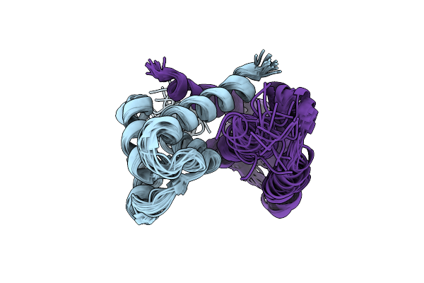 2LHL image