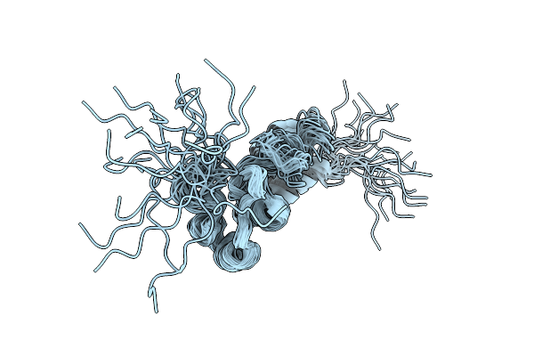 2LHT image
