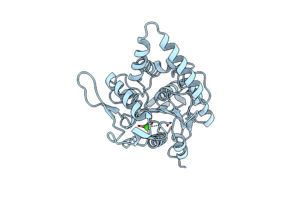 2LIP image