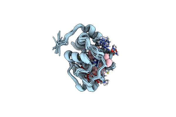 2LIR image