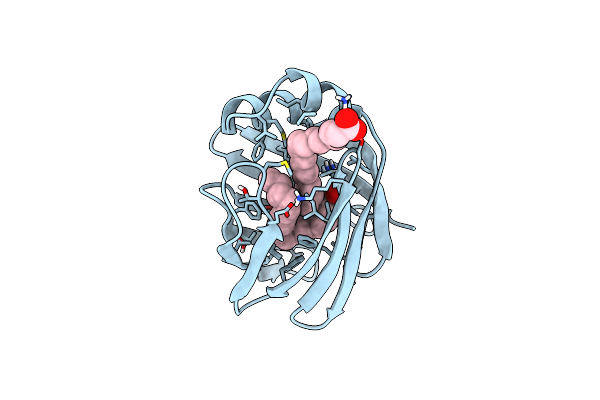 2LKK image