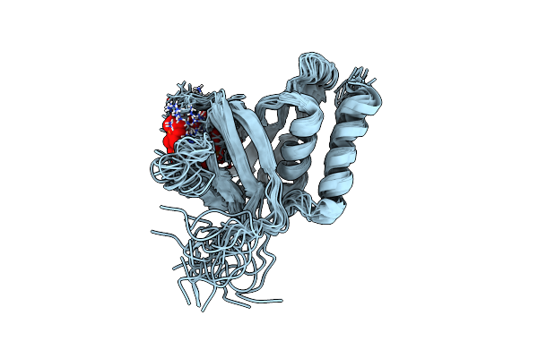 2LKO image