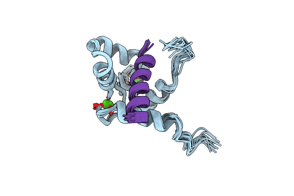 2LLO image