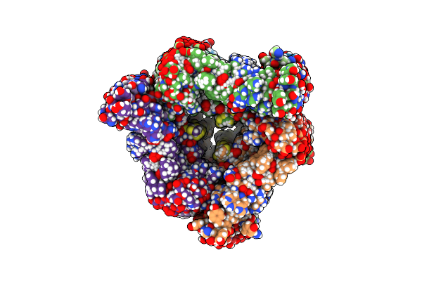 2LMP image