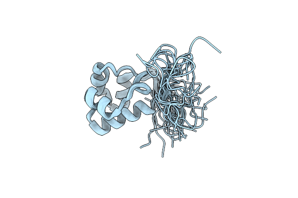 2LMR image