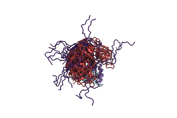 2LNH image