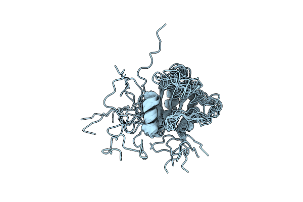 2LNT image