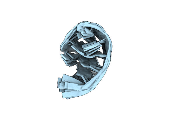 2LO5 image