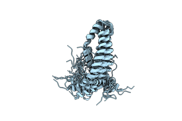 2LOR image