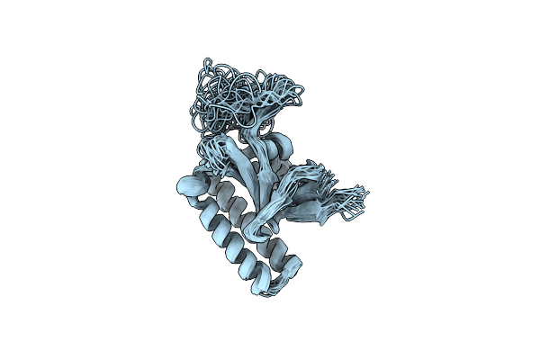 2LOY image