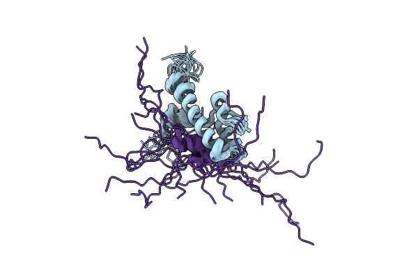 2LPB image