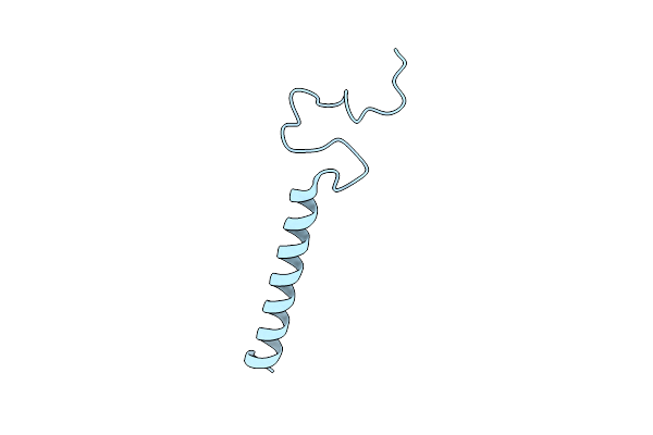 2LPF image