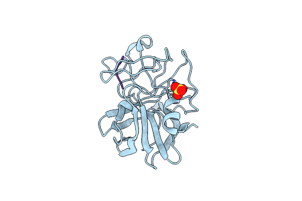 2LPR image