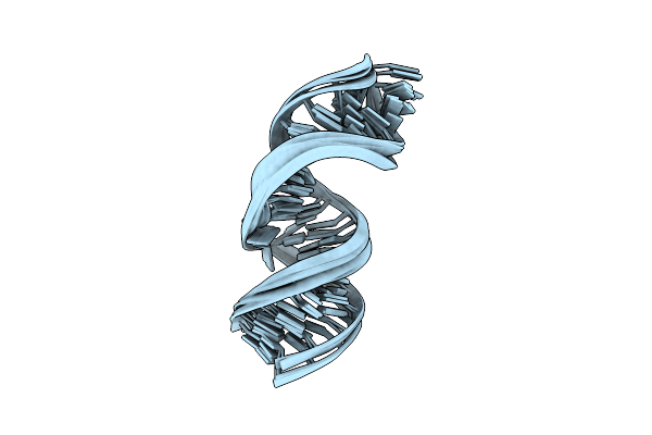 2LPT image