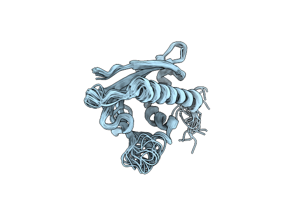 2LPX image