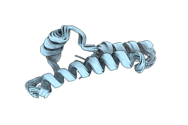 2LQT image