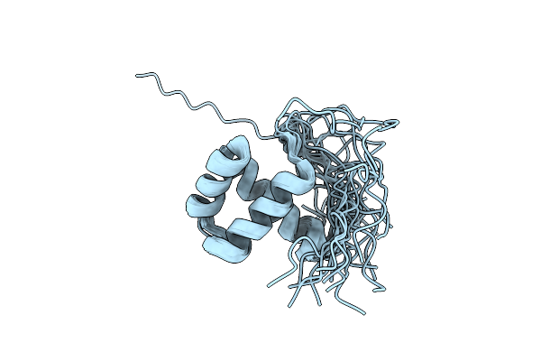 2LR8 image