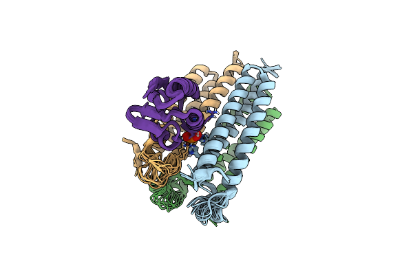 2LRL image