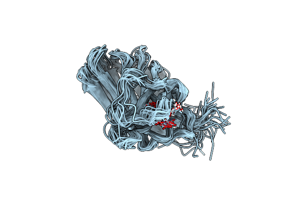 2LRP image