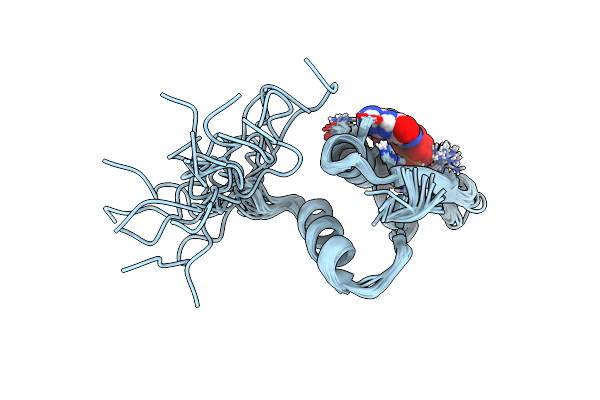 2LRR image