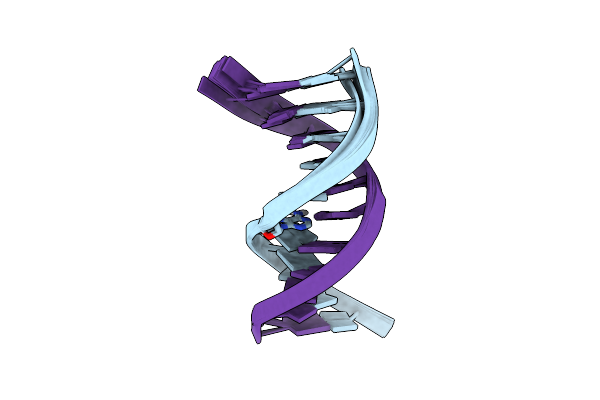 2LSF image
