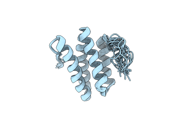 2LSG image