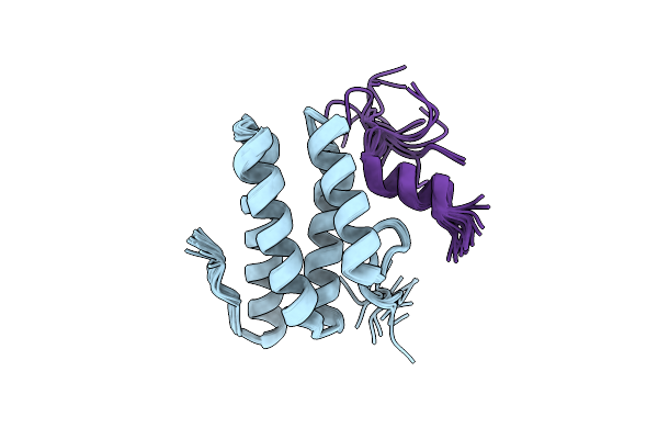 2LSI image