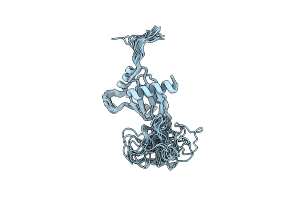 2LSL image