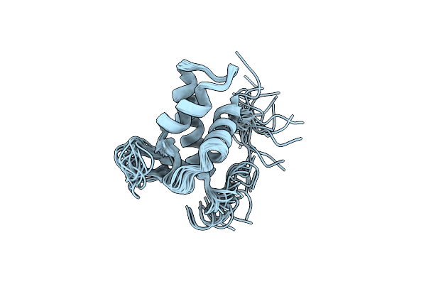 2LSO image
