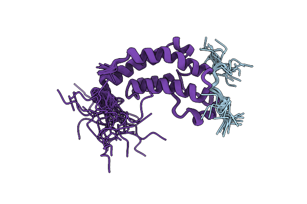 2LSP image