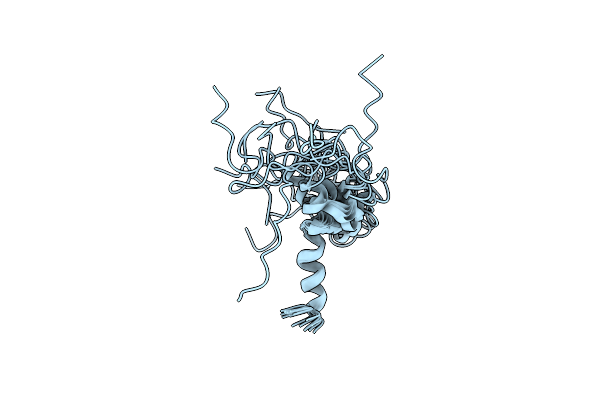 2LSW image