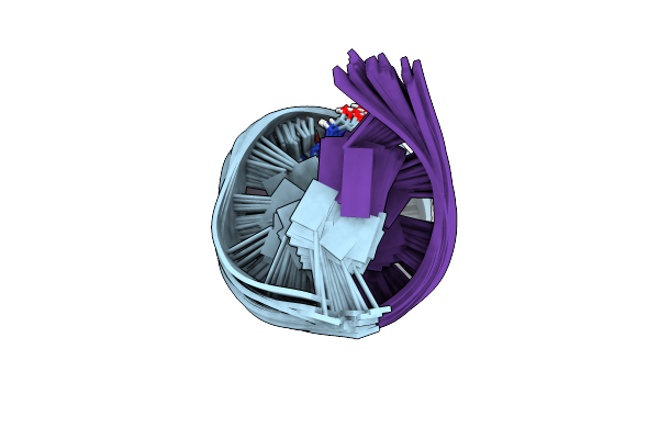 2LSZ image